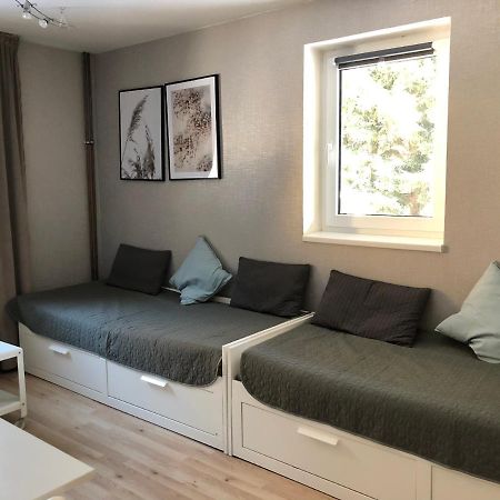 Apartman V Zeleni Dolní Morava المظهر الخارجي الصورة