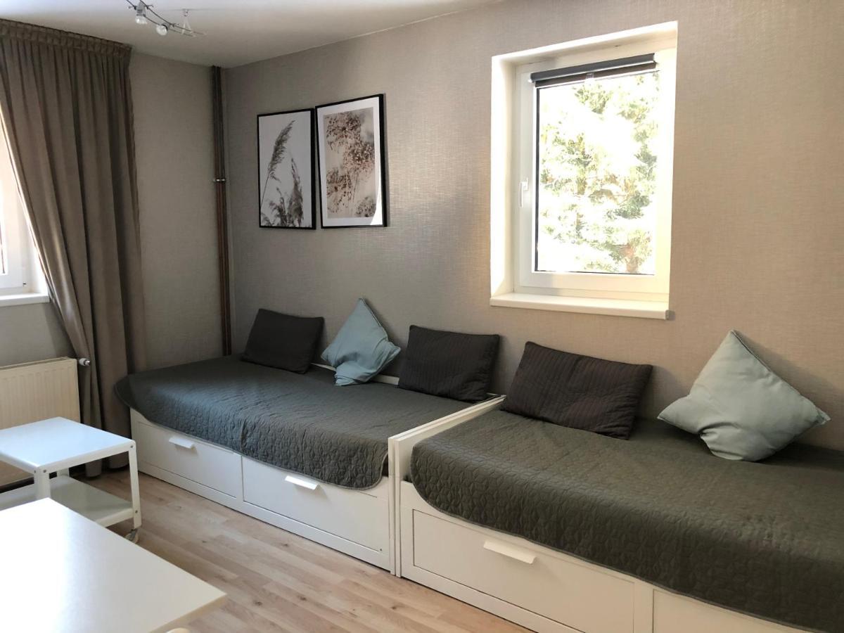 Apartman V Zeleni Dolní Morava المظهر الخارجي الصورة