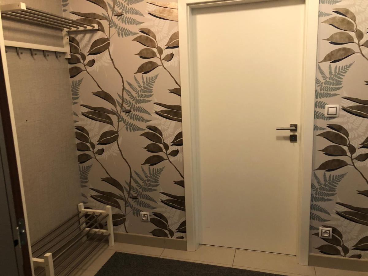 Apartman V Zeleni Dolní Morava المظهر الخارجي الصورة