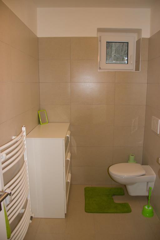 Apartman V Zeleni Dolní Morava الغرفة الصورة